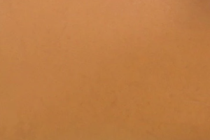 バッシュ素材