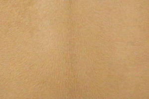 素材ヴォートロイカ