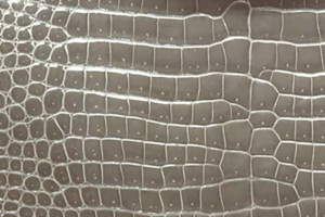 素材ニロティカスシャイン