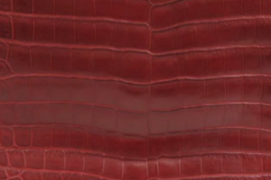 素材ニロティカスマット