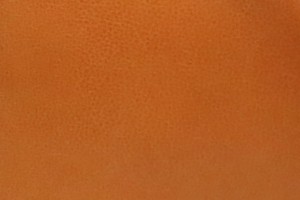 素材バッシュリエージュ