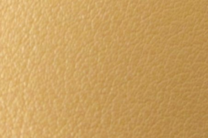 素材バレニアフォーブル