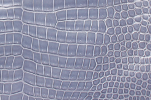 素材ポロサスシャイン