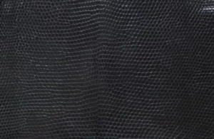 素材リザード