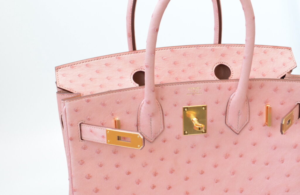 オーストリッチの中でも人気の高いテリキュート