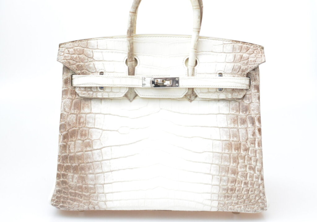 バーキンヒマラヤ正面