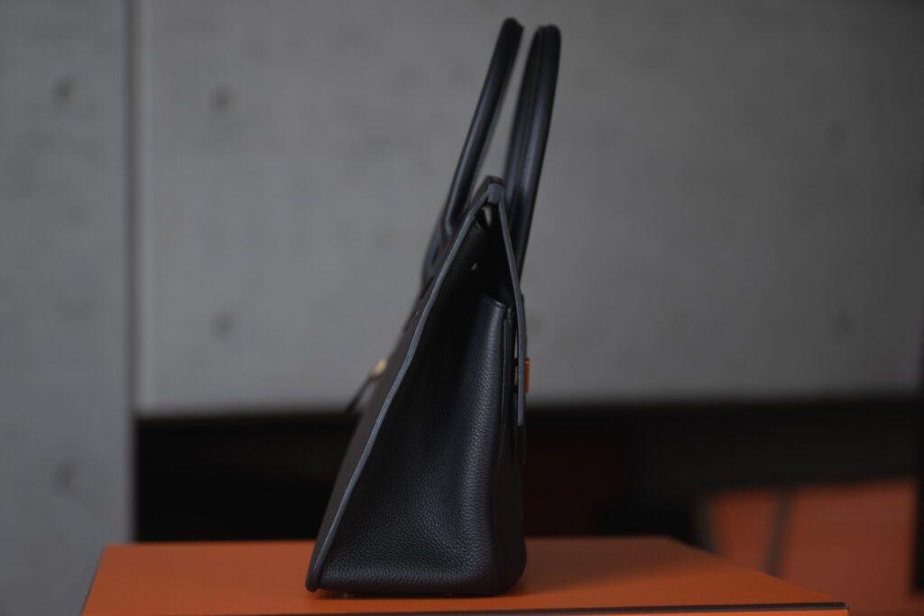 バーキン無秩序を側面から見た図