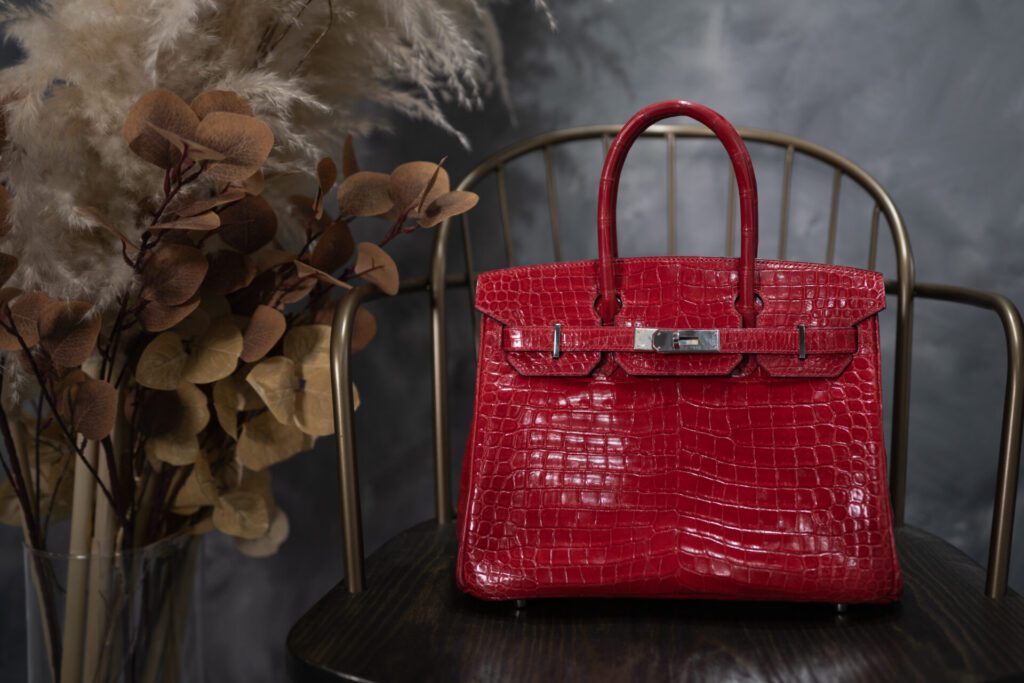 希少なバーキンクロコモデル